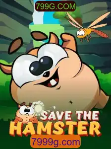 SavetheHamster: Um Novo Jogo de Estratégia para Proteger os Hamsters